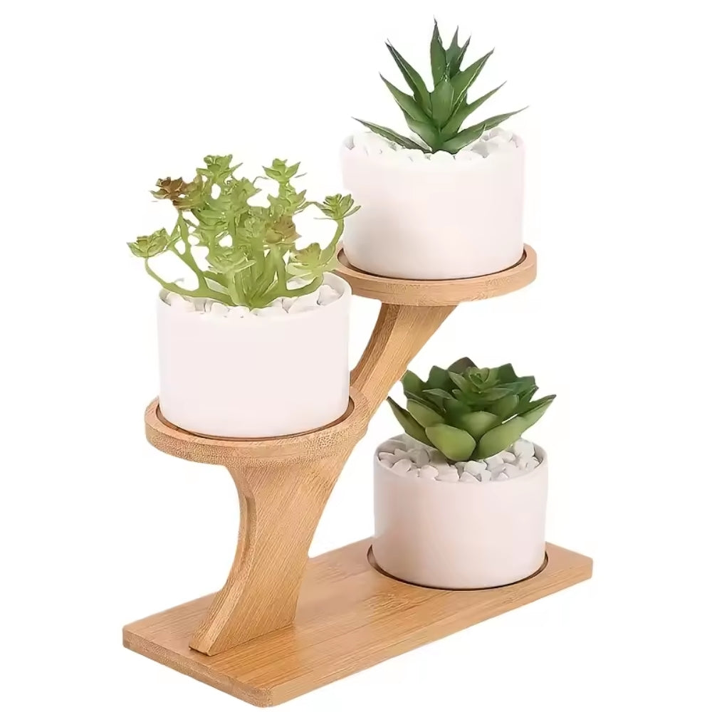 2-Tier Bamboo Storage Shelf – Compact Natural Organizer for Home, Office, and Balcony Decor