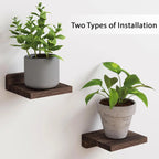 4-Pack Small Floating Shelves – 5 Inch Wood Wall Display Ledges with 2 Installation Options